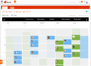 Pantallazo de la vista de agenda de Fenix