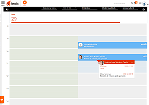 Interfaz de la agenda de Fenix donde se la información detallada de una cita
